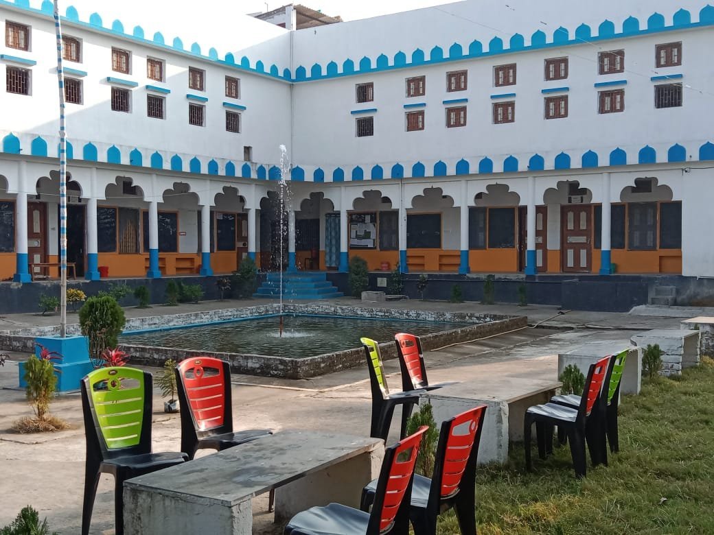 a forest after an apocalypse