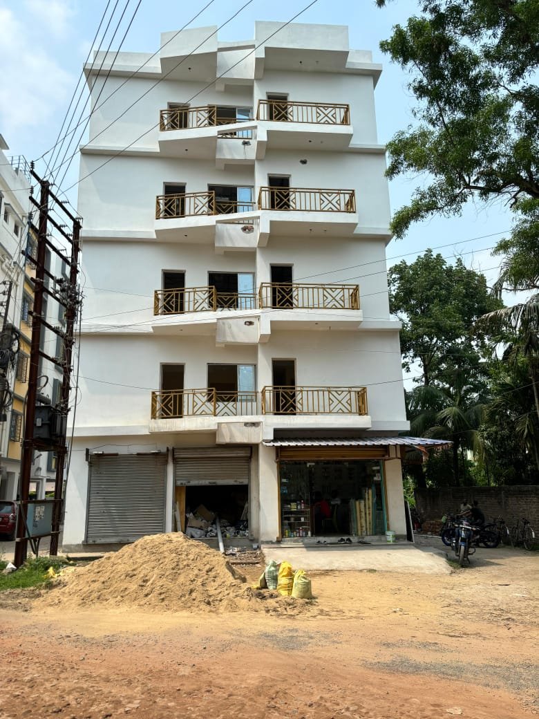 a forest after an apocalypse